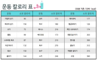 운동칼로리표1