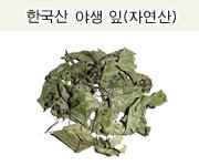 헛개나무/숙취해소