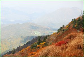 구천동주유소 이미지