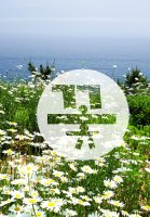 자기소개서표지6