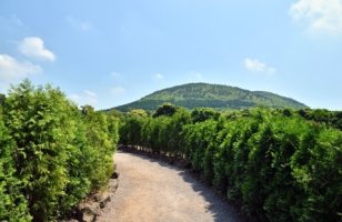 제주도항공권대기예약1