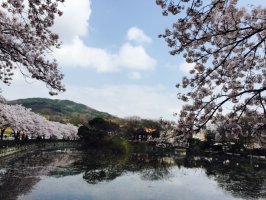 강서구도로연수1