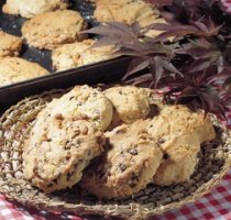 아동관련자격증1