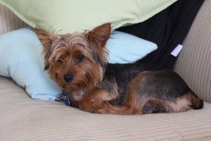 서면신경정신과6