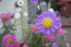 운전면허시험필기2