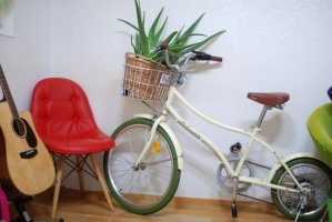 알로에먹는방법3