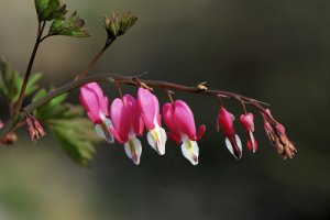 산 그림자 외 / 이성선