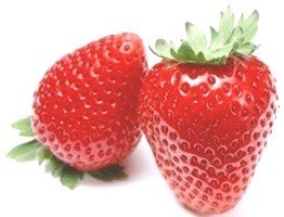 인터넷음식주문4