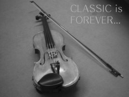 바이올린배우기4