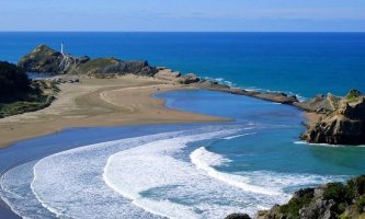 무배당카네이션하나로보험5