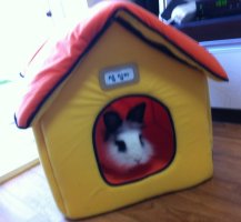 토끼집4