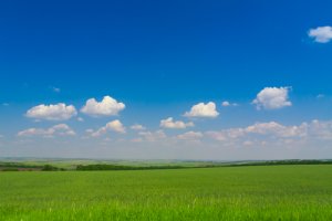 국가유공자신청5