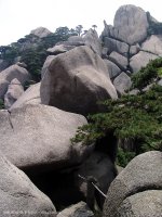 황산1