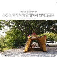 스위스밀리터리3