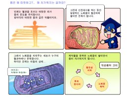 배살도둑6