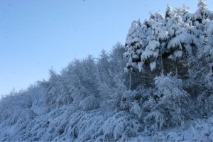 설악산 눈구경