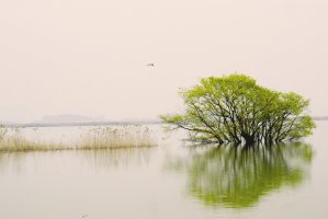 평화로운 봄풍경