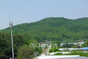 과천부동산3