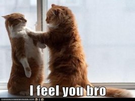 미국원어민화상영어1