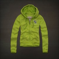 홀리스터후드집업5