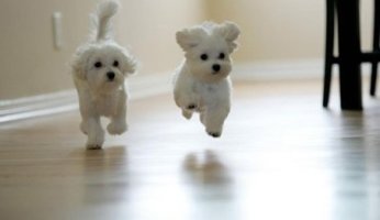 신도림영어학원5