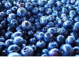 전립선염에좋은음식3