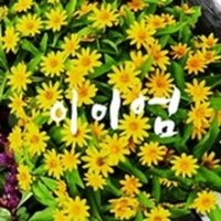 저렴한제주팬션4