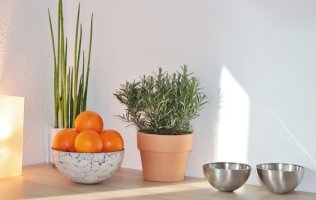 일본화장품쇼핑몰5