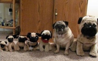 자산관리사자격증2