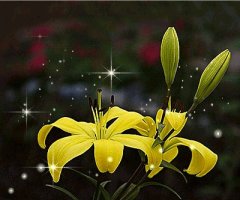 2010년 10월 11일[(녹) 연중 제28주간 월요일]＜이 세대는 요나 예언자의 표징밖에는 어떠한 표징도 받지 못할 것이다.＞