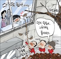 《세상읽기》11월 07일 각종신문 시사만평!
