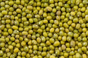 여드름피부관리2