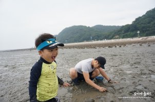 서해갯벌체험5
