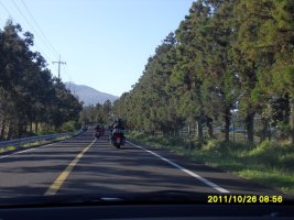 제주 오토바이1