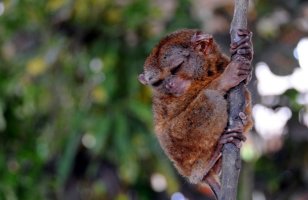저렴한꽃배달서비스4