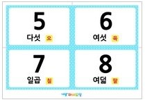 숫자카드5