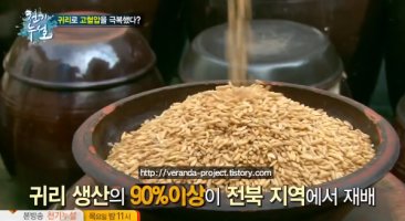 장윤정다이어트1