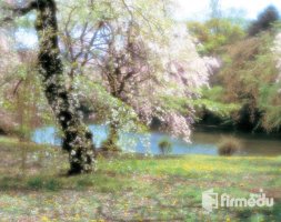 사회복지사사이버대학2