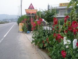 꽃지해수욕장펜션2