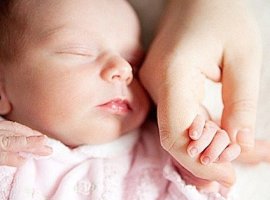 면역력을 담당하는 장부2 [제주 온기담은 한의원]