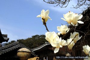 사랑했던 날보다 - 이정하