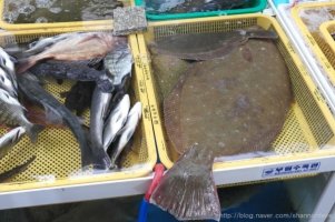 통영ES리조트가격2