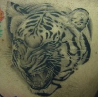 호랑이문신1