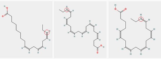 오메가3지방산5
