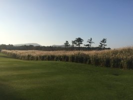 엘리시안골프장3