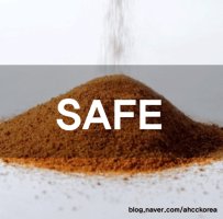 표고버섯균사체1