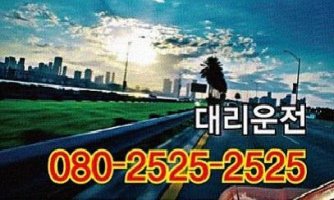서울대리운전5