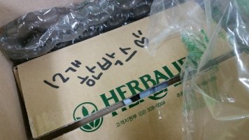 허벌라이프하체비만6