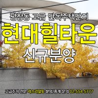 고급단독주택5