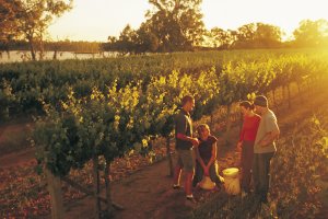 워킹홀리데이준비3